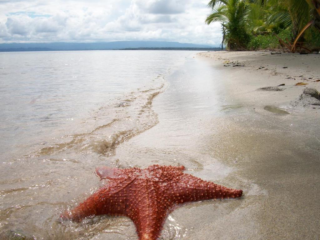 Hotel Tierra Verde Bocas del Toro Экстерьер фото