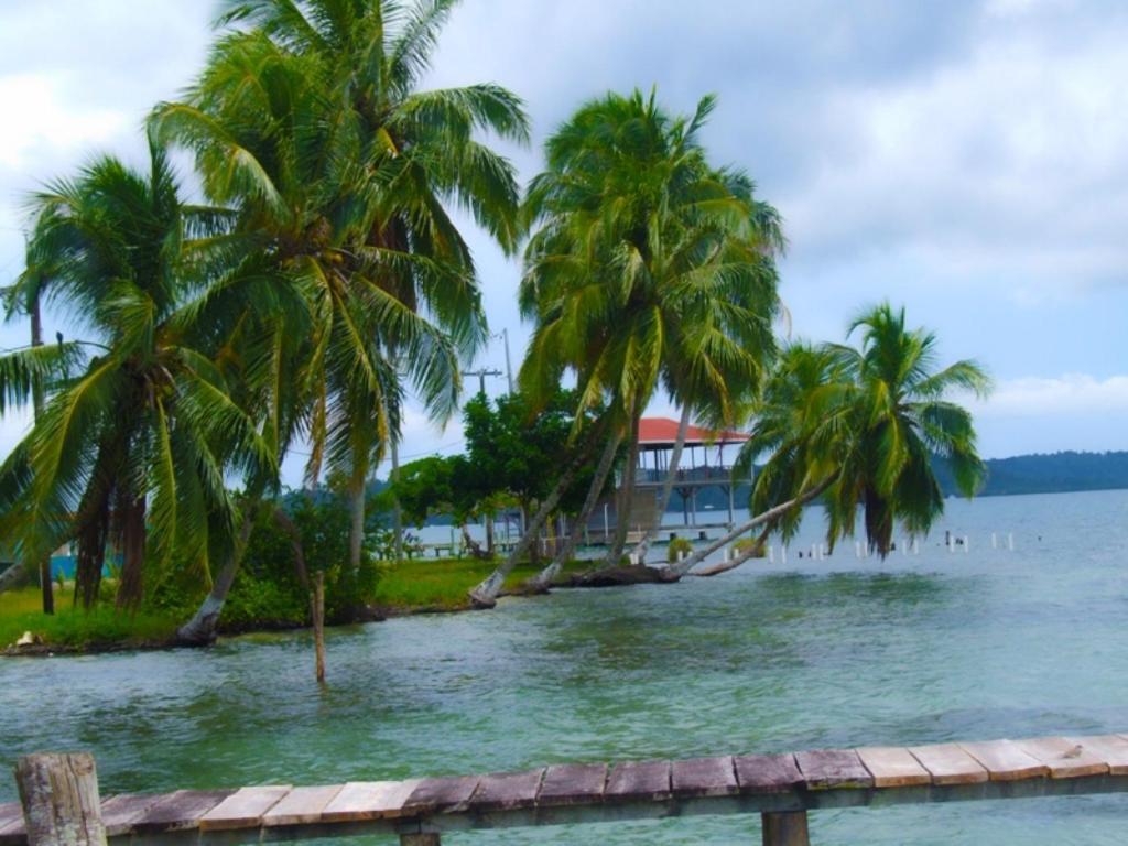 Hotel Tierra Verde Bocas del Toro Экстерьер фото